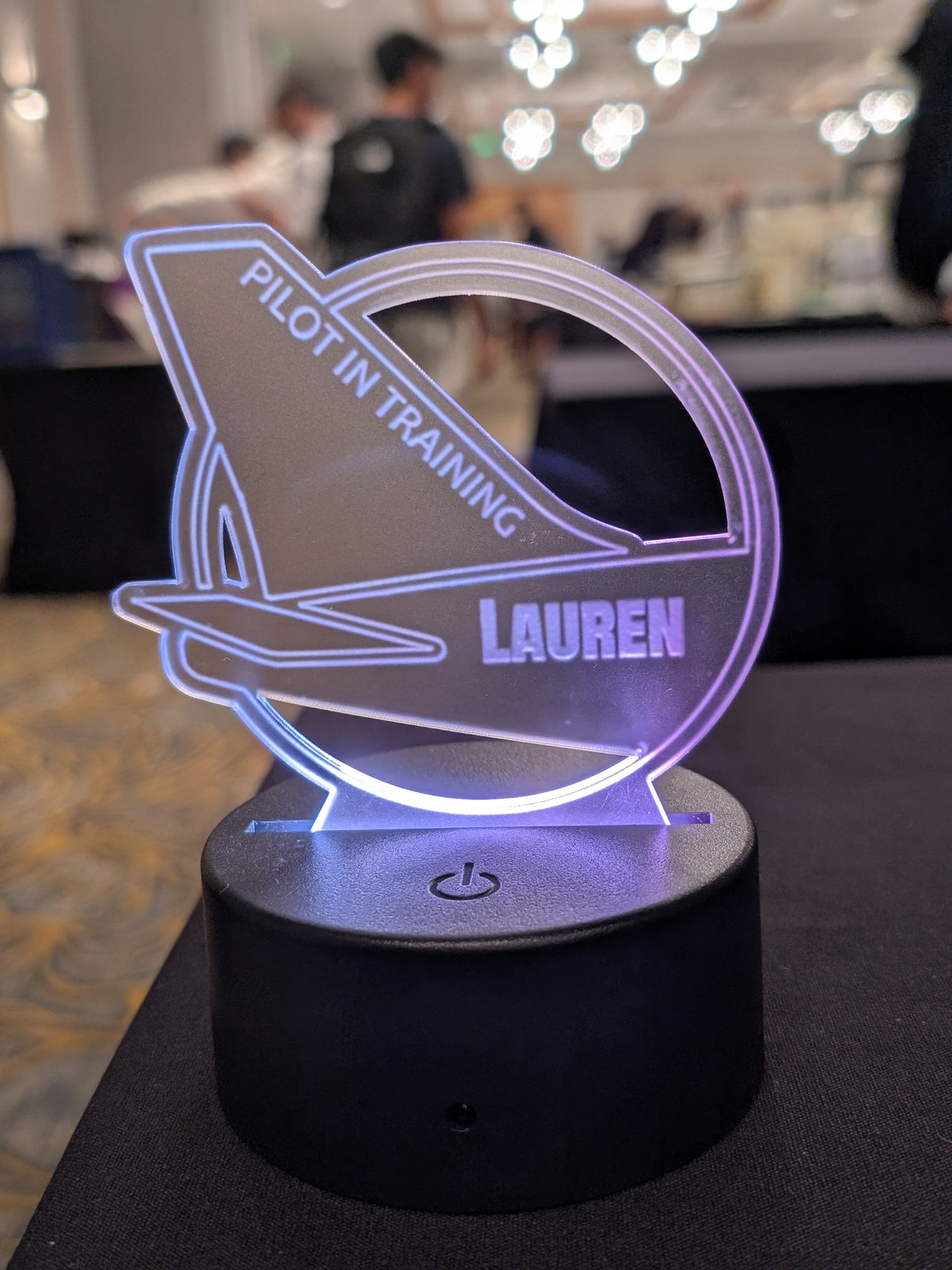 Personalized Aviation LED Light