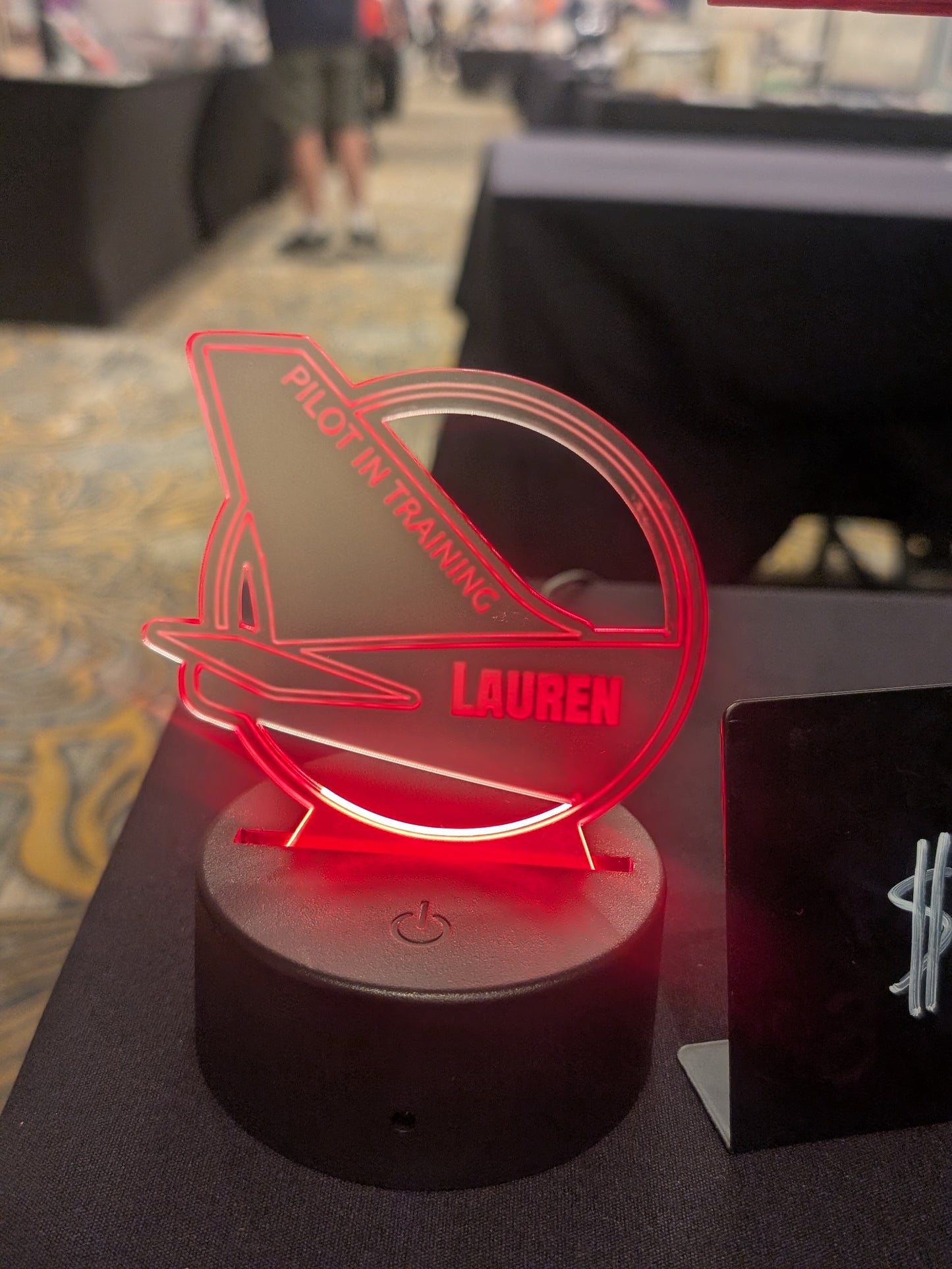 Personalized Aviation LED Light